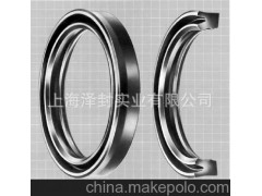 派克（PARKER）BS型密封件