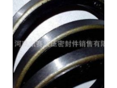 供应铁壳机械密封圈