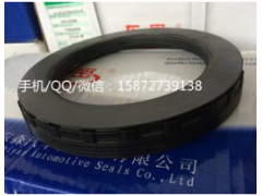 3104081-T38A0新款原装后轮SKF油封